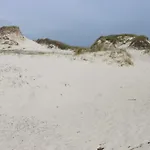 6 Person In *