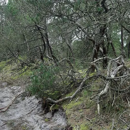 6 Person In 度假居 Nørre Nebel