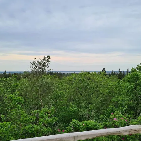 6 Person In 度假居