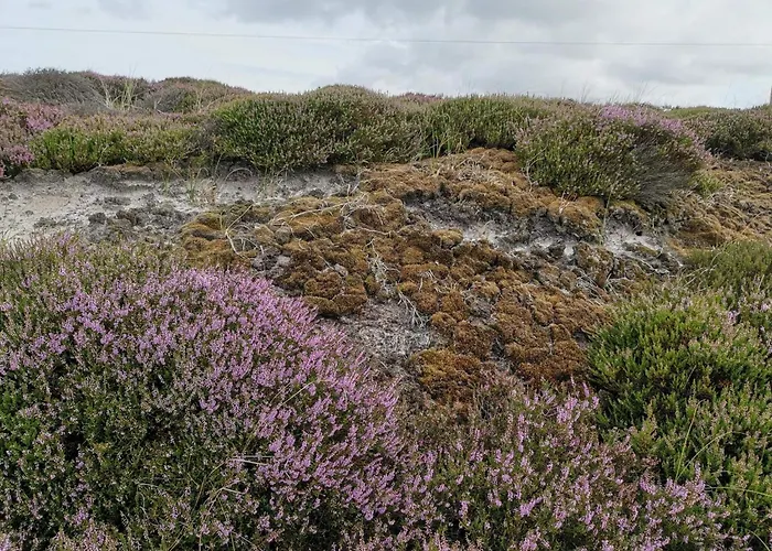 6 Person In * Nørre Nebel