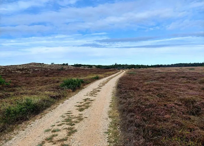 6 Person In Nørre Nebel