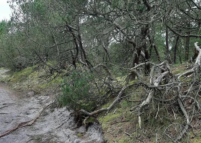 6 Person In 펜션 Nørre Nebel