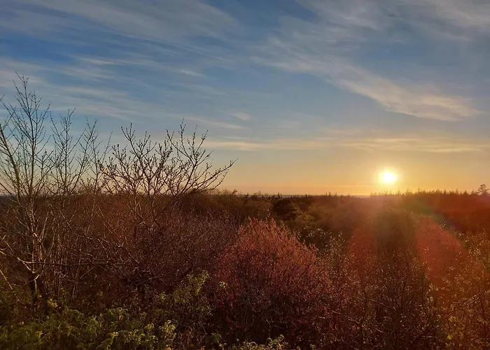 펜션 6 Person In *