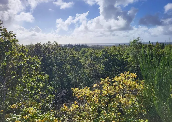 펜션 6 Person In *